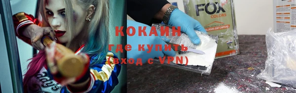 стаф Новозыбков