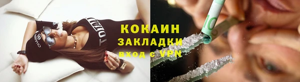 стаф Новозыбков